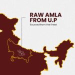 Vitamith Premium Whole Dried Amla| Nutrient-Rich Superfood- Rich in Vitamin A & C - Image 4