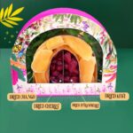 VITAMITH PREMIUM TROPICAL DRIED ROUND FRUIT GIFT BOX